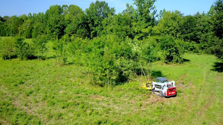 Fence Line and Land Clearing