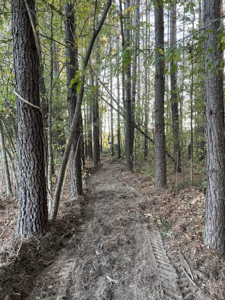 Trail Cleanup